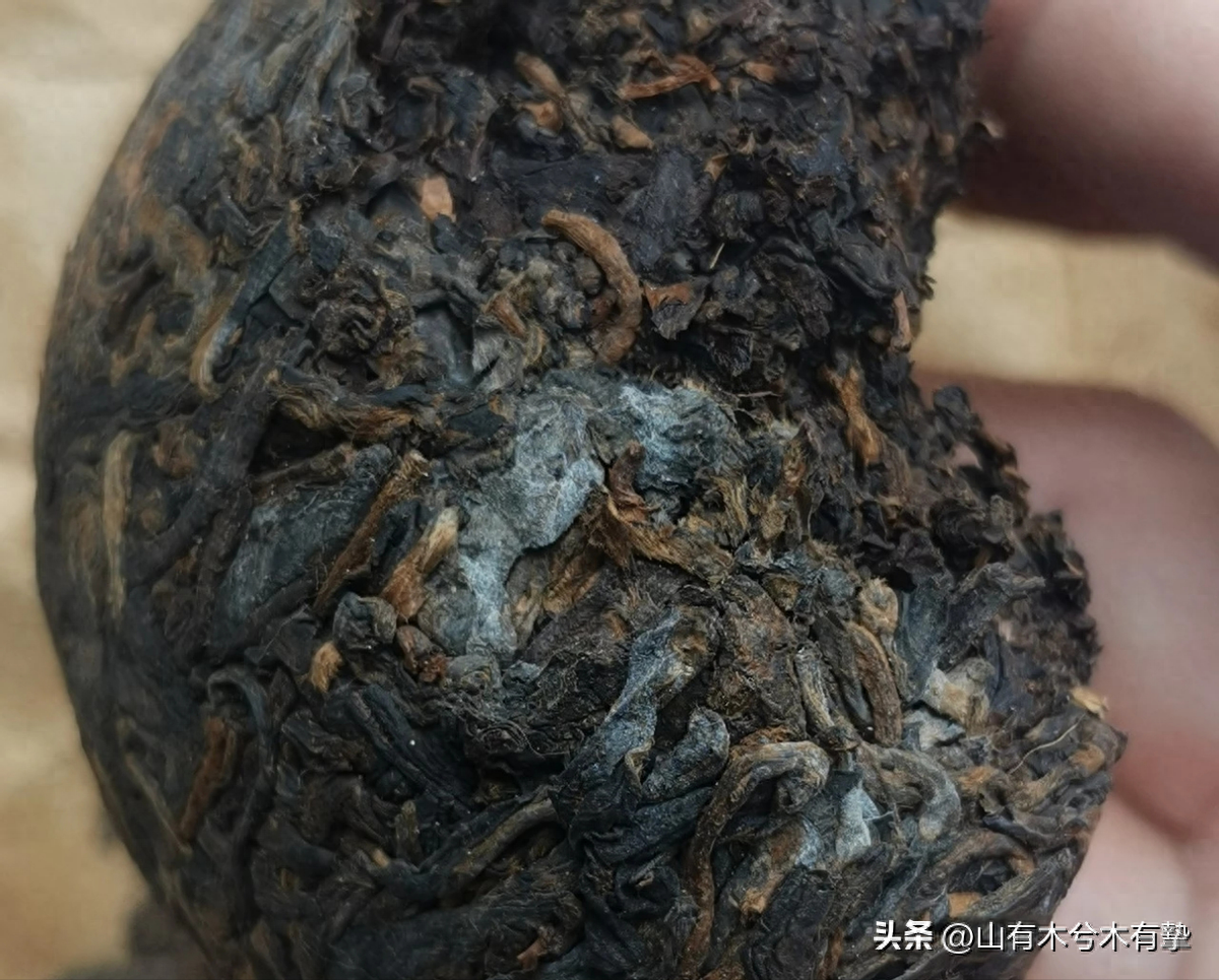 一克熟茶五亿霉菌，茶叶霉菌限量