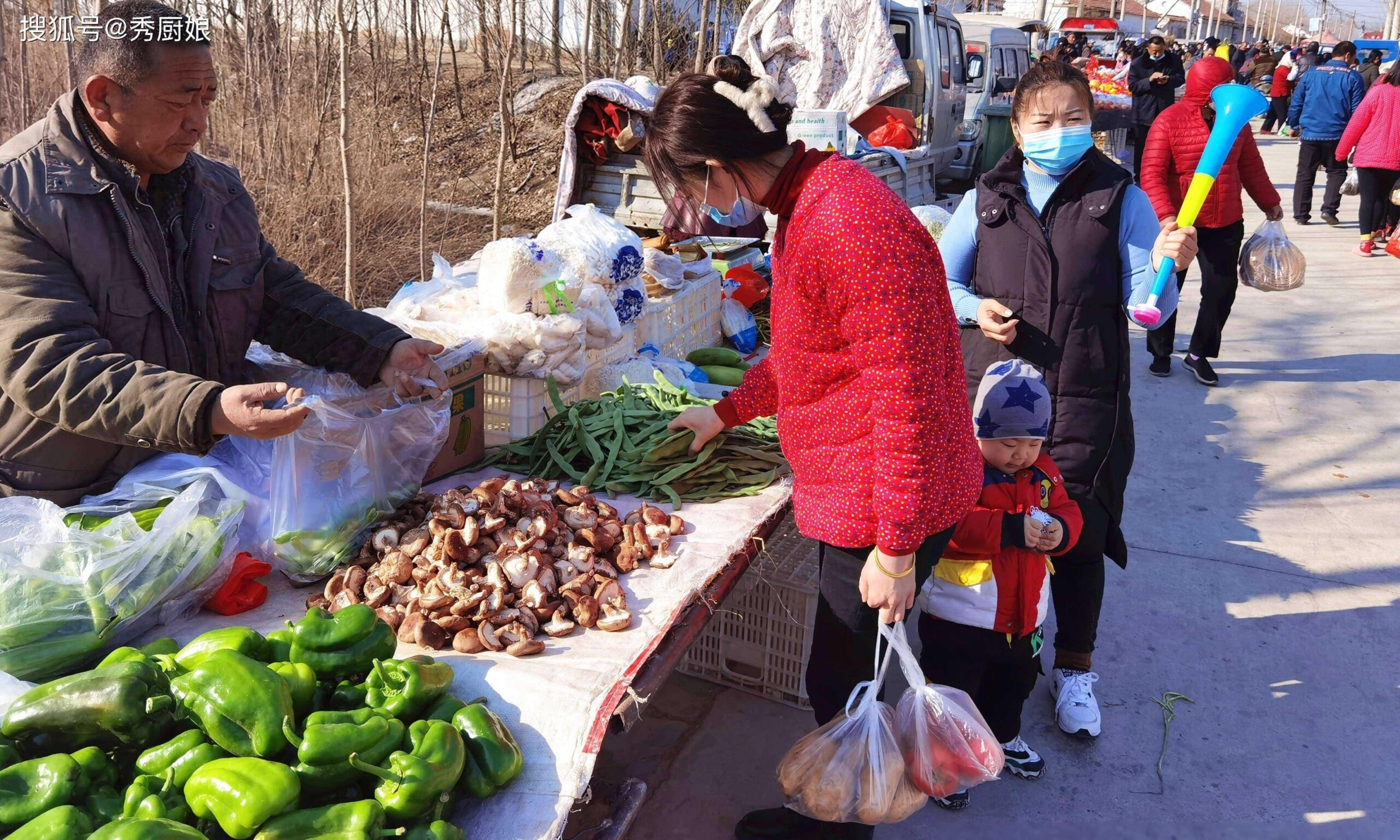 春节前后种什么菜，春节前后,这4种蔬菜是什么